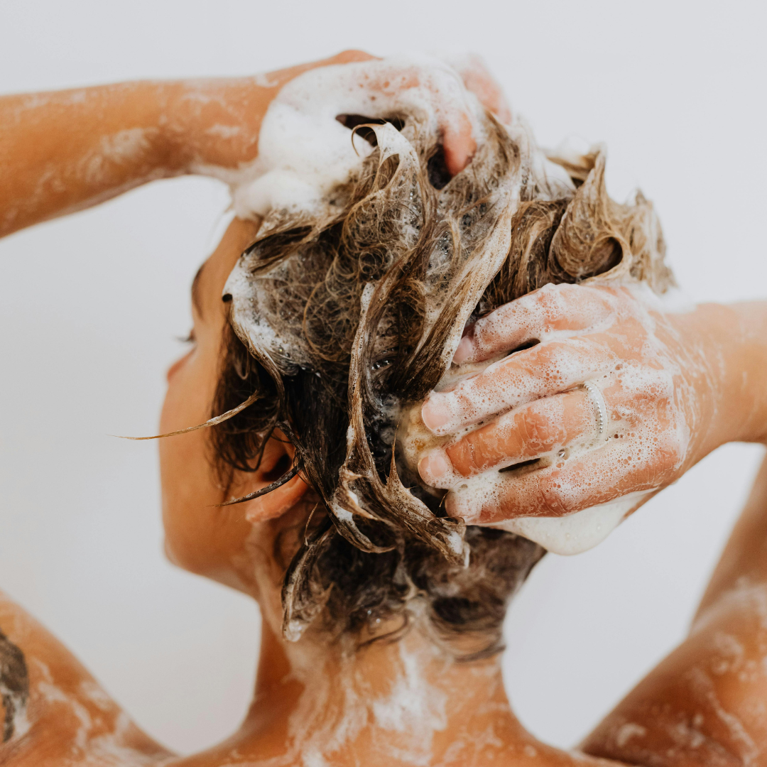 Duo Shampoing et Revitalisant naturels - Boisé